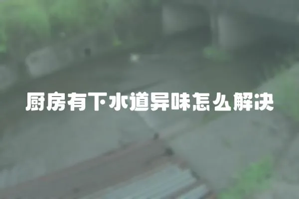 廚房有下水道異味怎么解決
