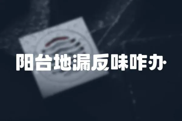 陽臺地漏反味咋辦