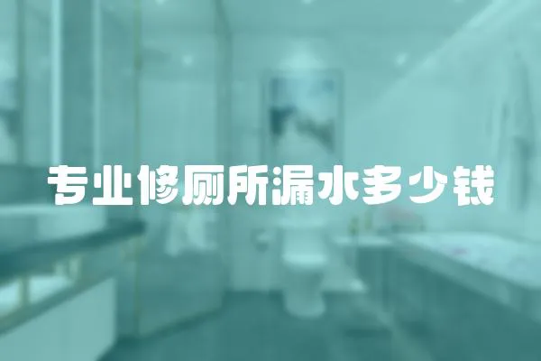 專業修廁所漏水多少錢