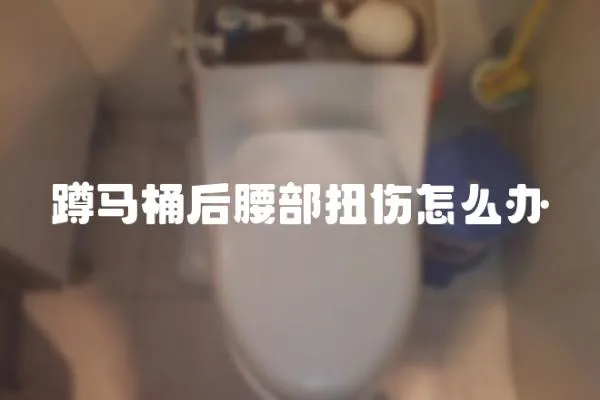 蹲馬桶后腰部扭傷怎么辦