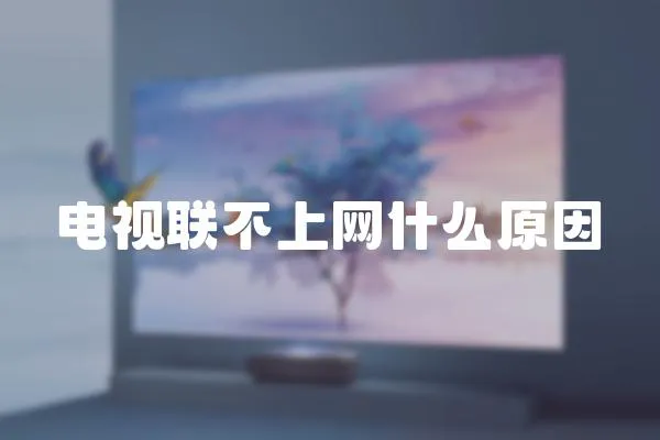 電視聯不上網什么原因