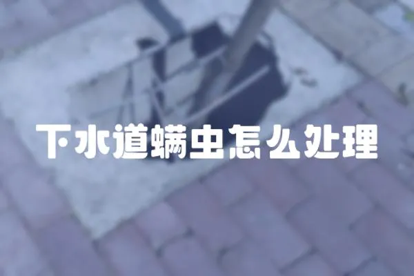 下水道螨蟲怎么處理