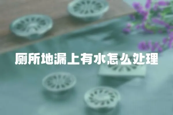 廁所地漏上有水怎么處理