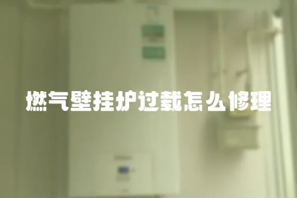 燃?xì)獗趻鞝t過載怎么修理