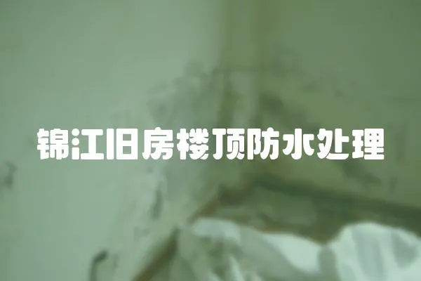 錦江舊房樓頂防水處理