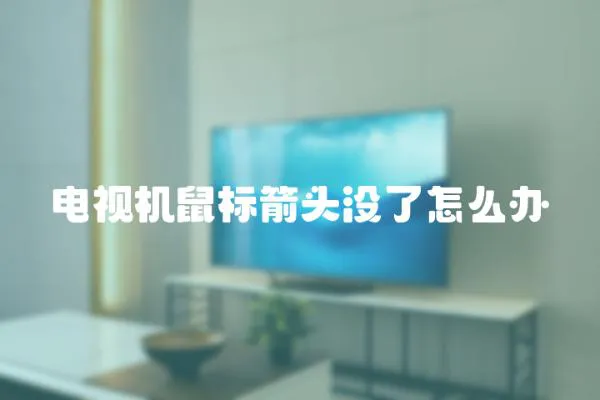 電視機鼠標箭頭沒了怎么辦