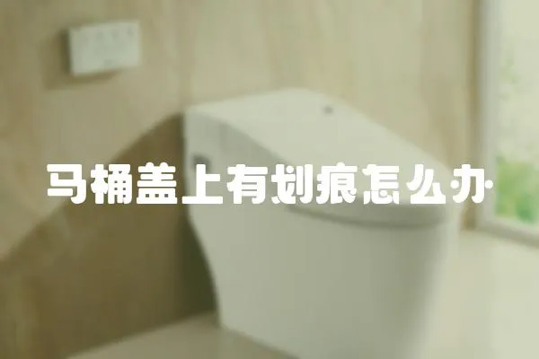 馬桶蓋上有劃痕怎么辦