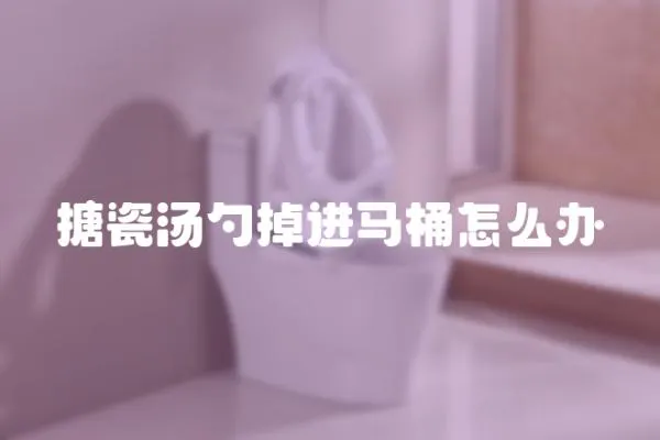 搪瓷湯勺掉進馬桶怎么辦