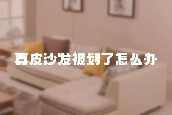 真皮沙發被劃了怎么辦