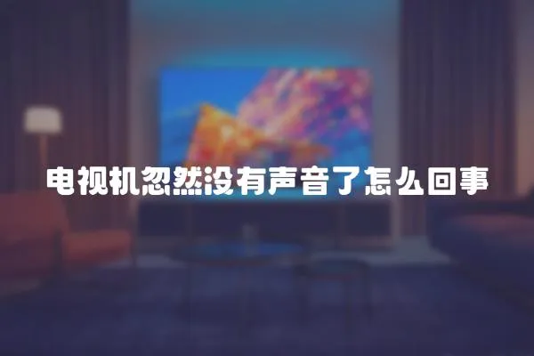 電視機忽然沒有聲音了怎么回事