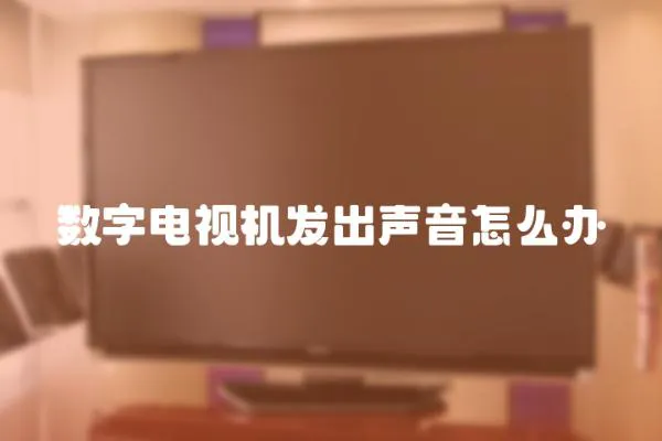 數字電視機發出聲音怎么辦