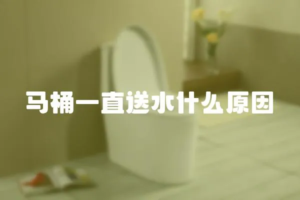 馬桶一直送水什么原因