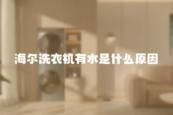 海爾洗衣機有水是什么原因