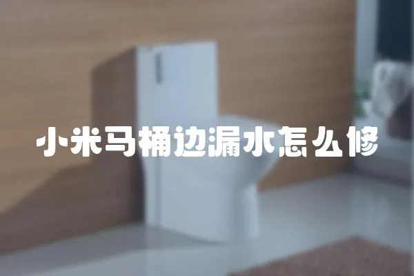 小米馬桶邊漏水怎么修