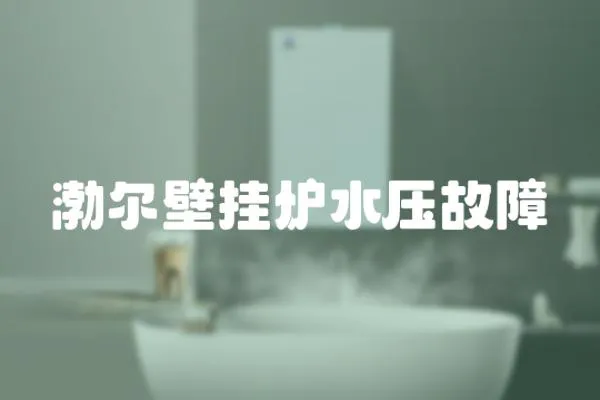 渤爾壁掛爐水壓故障
