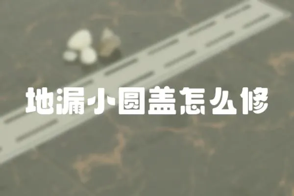 地漏小圓蓋怎么修