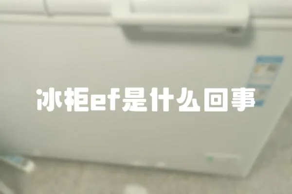 冰柜ef是什么回事