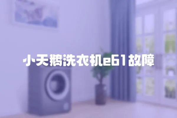 小天鵝洗衣機e61故障