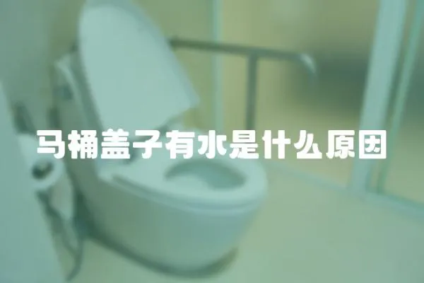 馬桶蓋子有水是什么原因