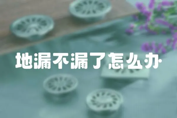 地漏不漏了怎么辦