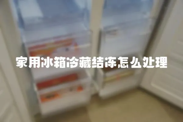 家用冰箱冷藏结冻怎么处理