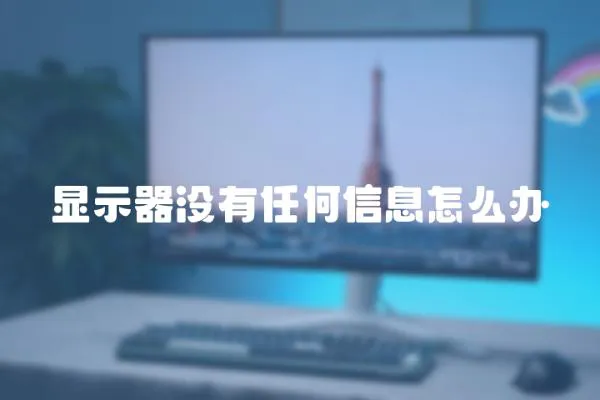 顯示器沒有任何信息怎么辦