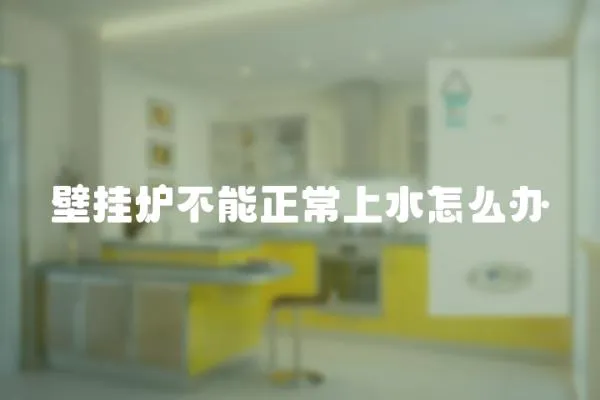 壁掛爐不能正常上水怎么辦