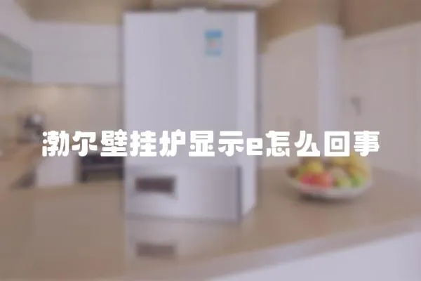 渤爾壁掛爐顯示e怎么回事