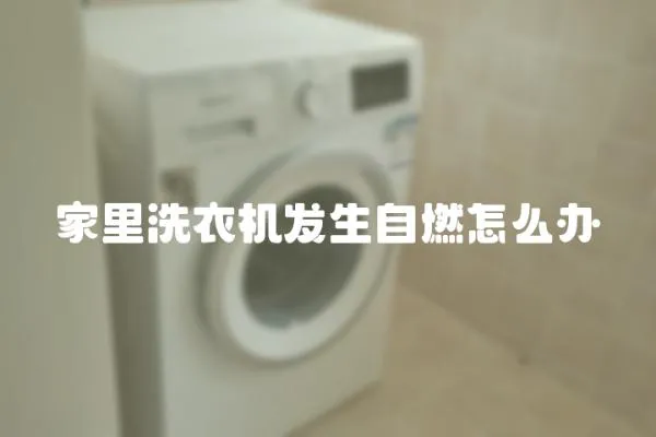 家里洗衣機發(fā)生自燃怎么辦