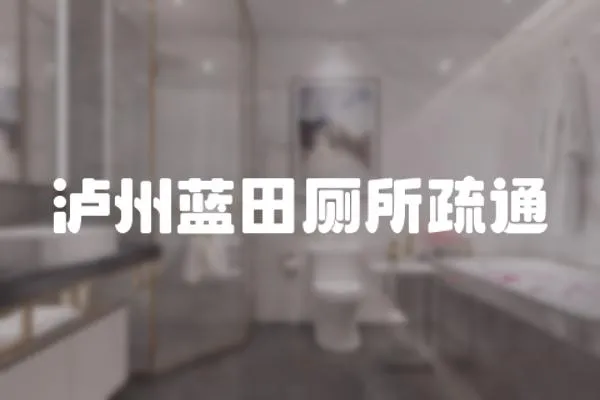 瀘州藍田廁所疏通