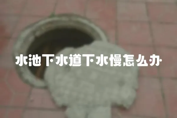 水池下水道下水慢怎么辦