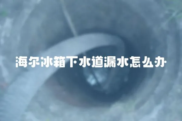 海爾冰箱下水道漏水怎么辦