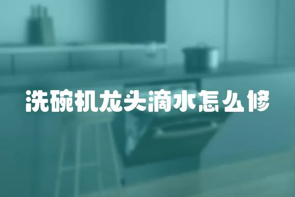 洗碗機龍頭滴水怎么修