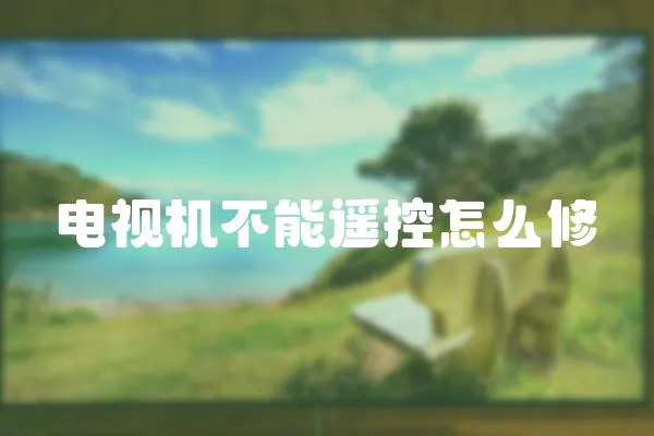 電視機不能遙控怎么修