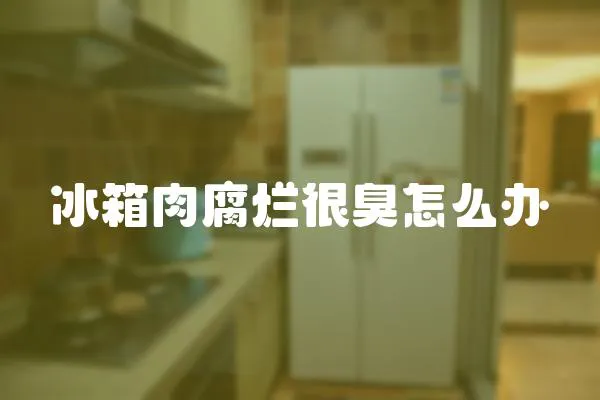 冰箱肉腐爛很臭怎么辦