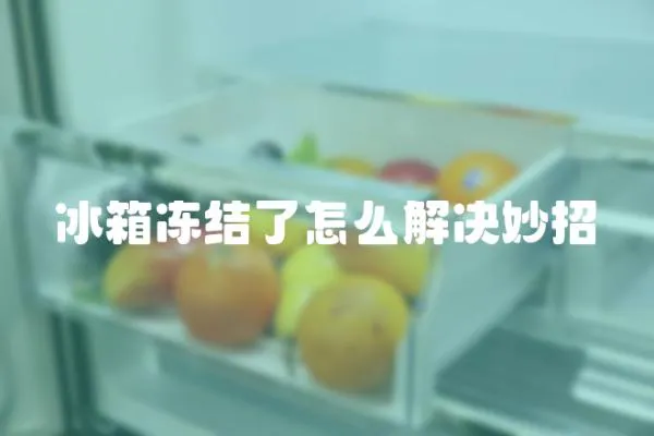 冰箱凍結了怎么解決妙招