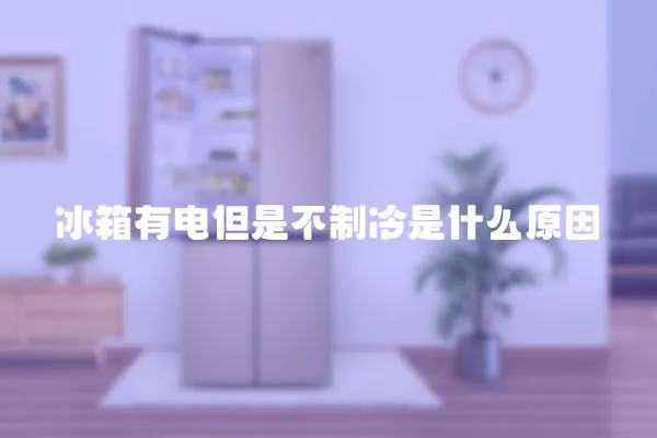 冰箱有電但是不制冷是什么原因