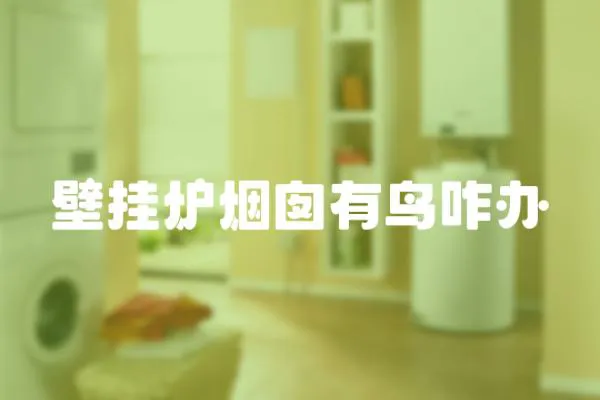 壁掛爐煙囪有鳥咋辦