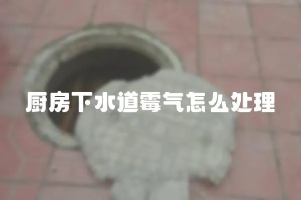 廚房下水道霉氣怎么處理