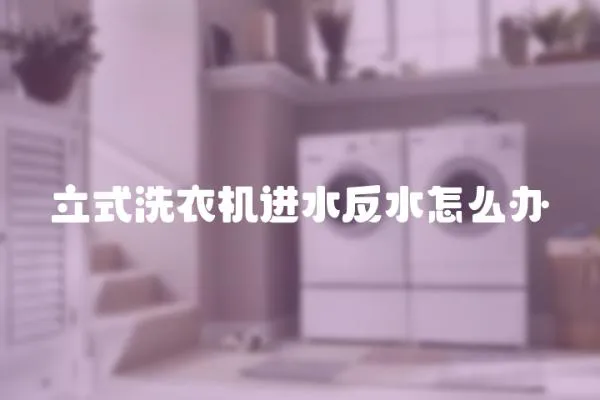 立式洗衣機進水反水怎么辦