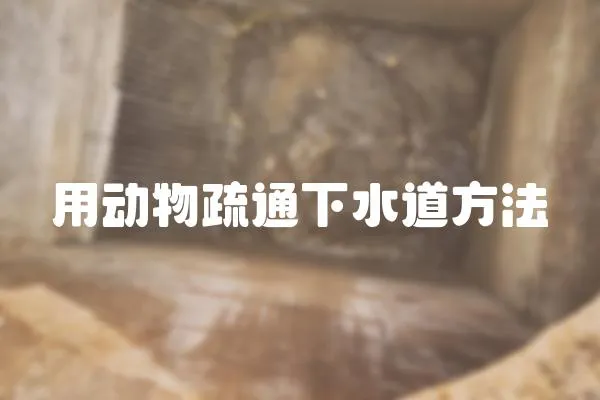 用動物疏通下水道方法