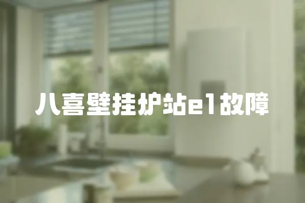 八喜壁掛爐站e1故障