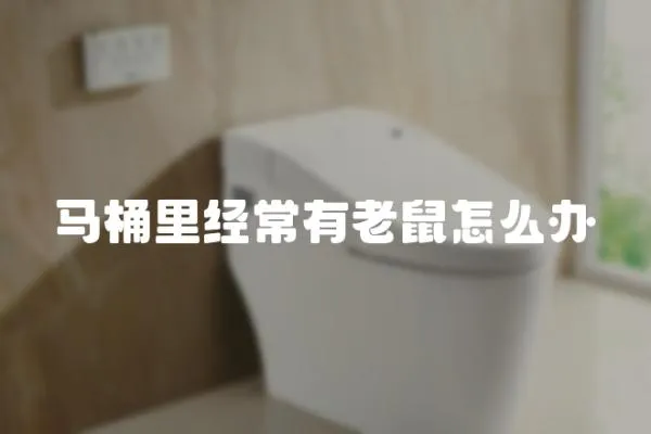 馬桶里經常有老鼠怎么辦
