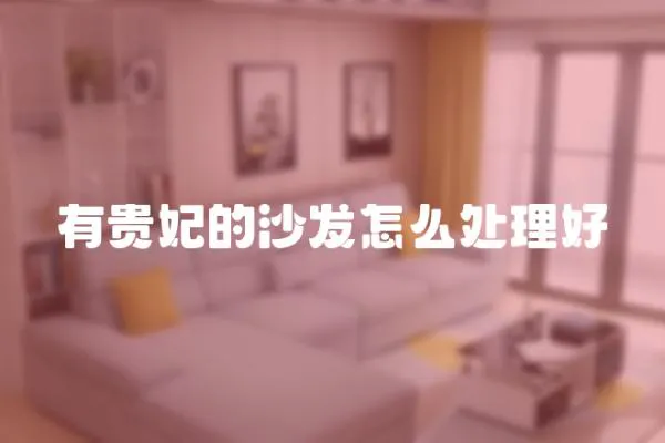 有貴妃的沙發怎么處理好