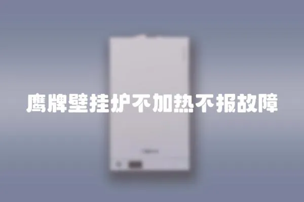 鷹牌壁掛爐不加熱不報故障