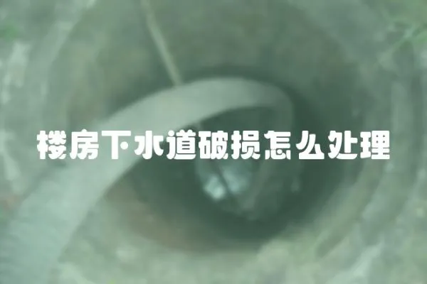 樓房下水道破損怎么處理