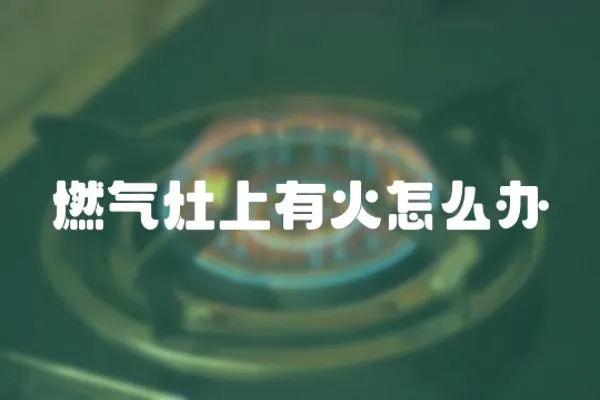 燃?xì)庠钌嫌谢鹪趺崔k