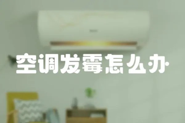 空調(diào)發(fā)霉怎么辦
