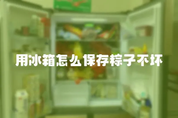 用冰箱怎么保存粽子不壞