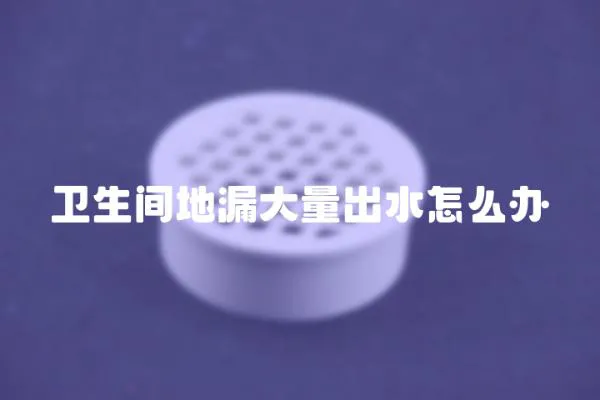 衛(wèi)生間地漏大量出水怎么辦